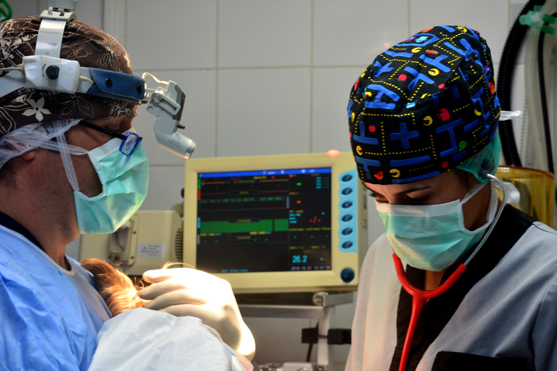 Promoción: Cirugía Veterinaria en Tenerife