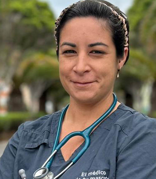 María Irene Moreno Díaz