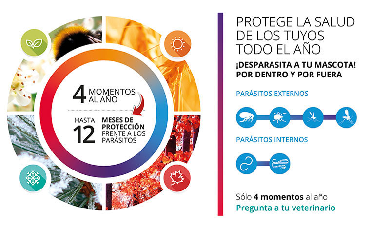 Promoción: Protege la salud de los tuyos todo el año