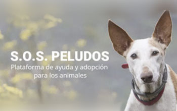 SOS Peludos